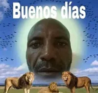 buenos dias