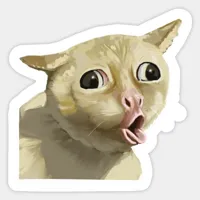 coughing cat