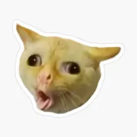 coughing cat