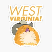 country roads cat