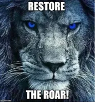 detroit lions