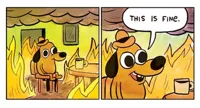 dog on fire