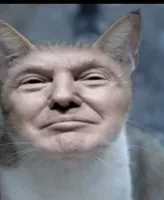 Donald trump cat