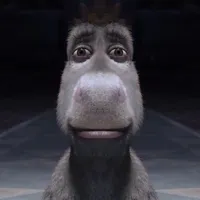 donkey staring