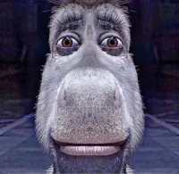 donkey