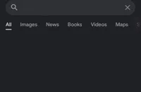 Fake search