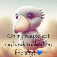 fine shyt