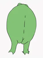 frog butt