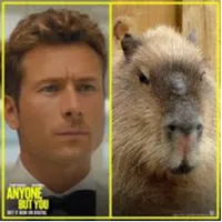glen powell capybara