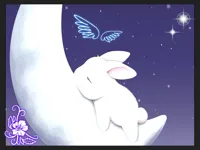 good night