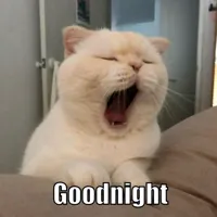good night