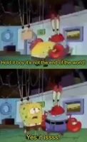 Hold it boy its not the end of the world
