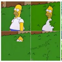 Homer hides