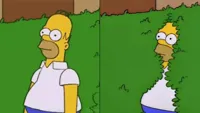 homer simpson