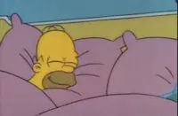 how i sleep homer simpson