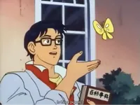 is this a butterfly