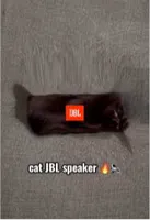 jbl speaker