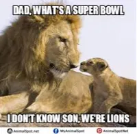 lions