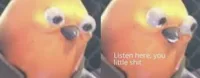 Listen here you little shit bird
