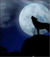lone wolf
