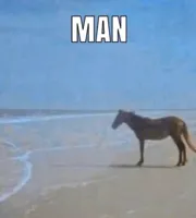 man horse