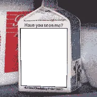 Missing Person