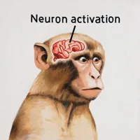 neuron activation