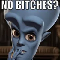no bitches