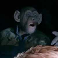 oh no monkey