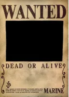 One piece wanted poster template