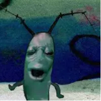 plankton