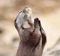 praying