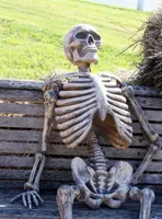 Skeleton on bench