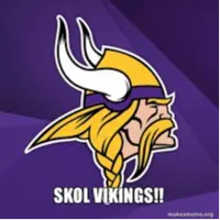 skol vikings 