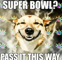 super bowl