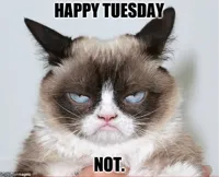 tuesday