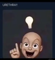 urethra