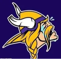vikings suck