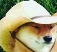 what in tarnation