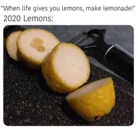 when life gives you lemons
