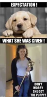 When She Ask Her Dad For A Golden Retriever For Her Birthday !