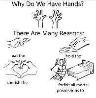 Why do we have hands? (all blank)